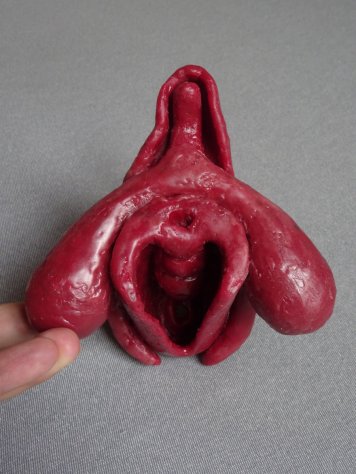 vagina red contre plongé